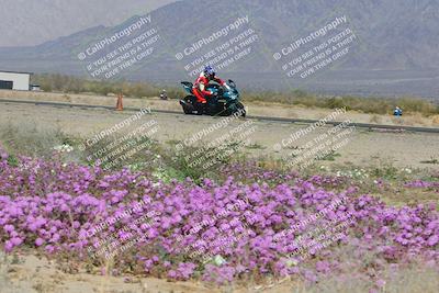 media/Feb-04-2023-SoCal Trackdays (Sat) [[8a776bf2c3]]/Turn 15 Inside Blooming (1050am)/